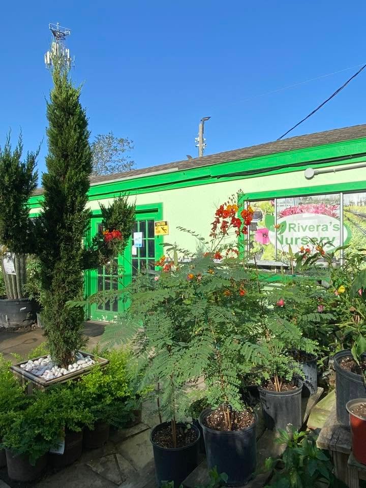 Rivera Nursery storefront surrounded by plants
