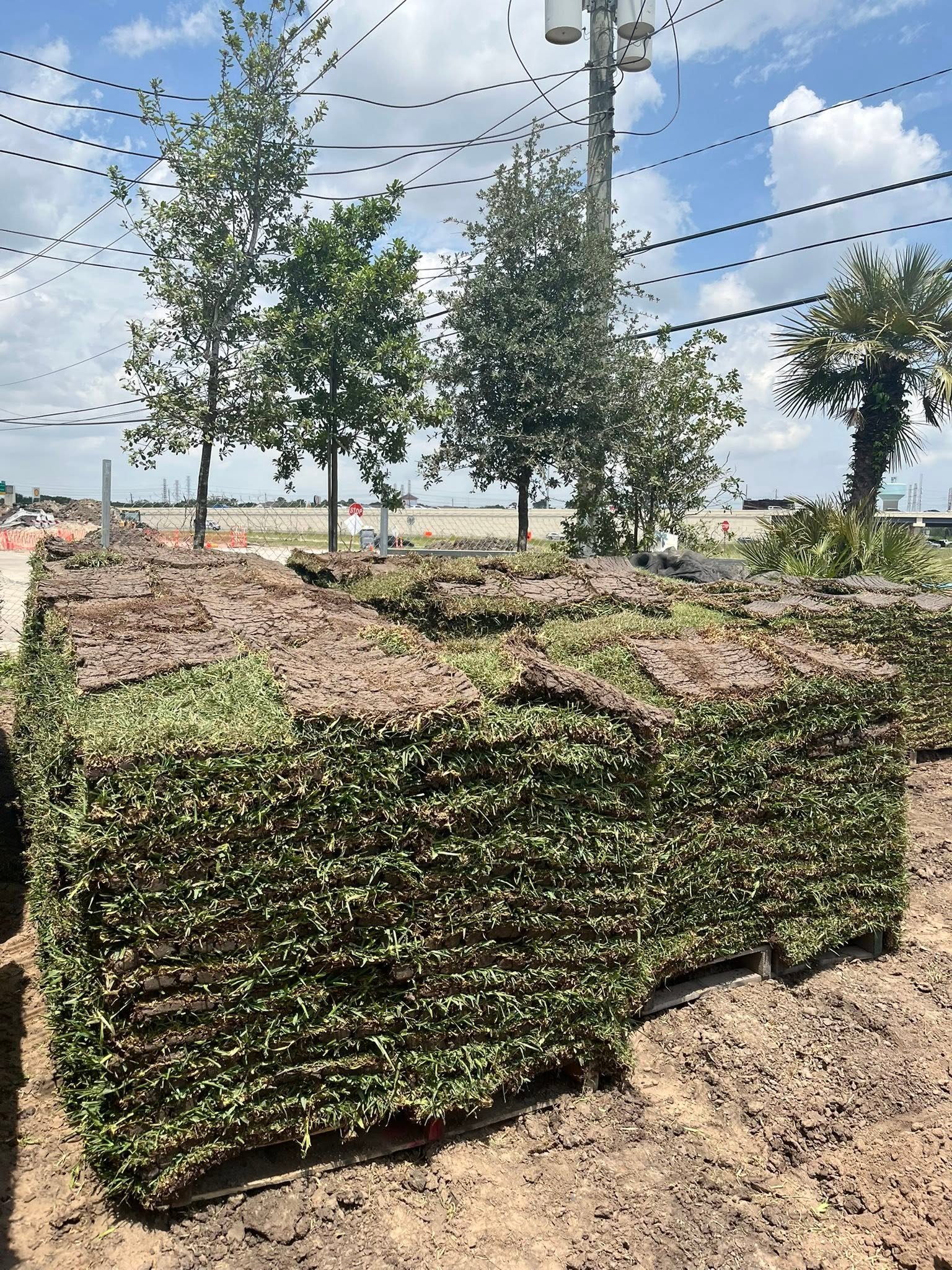 Pallets of fresh sod at Rivera Nursery